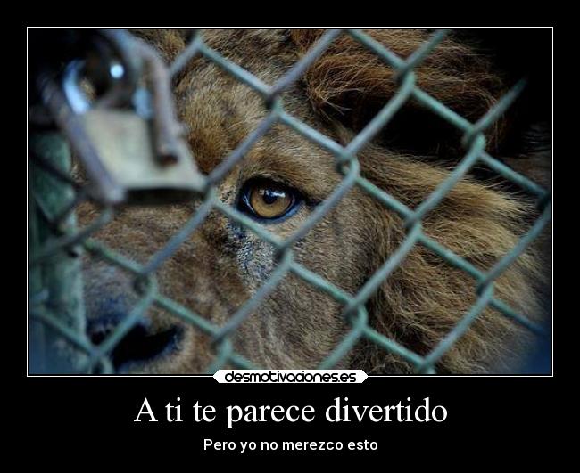 A ti te parece divertido -