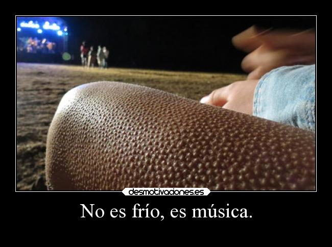 carteles musica musica desmotivaciones