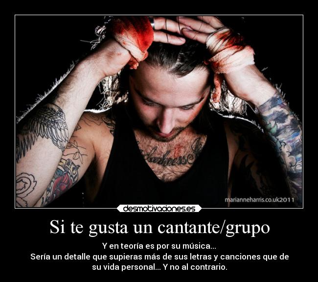 Si te gusta un cantante/grupo -