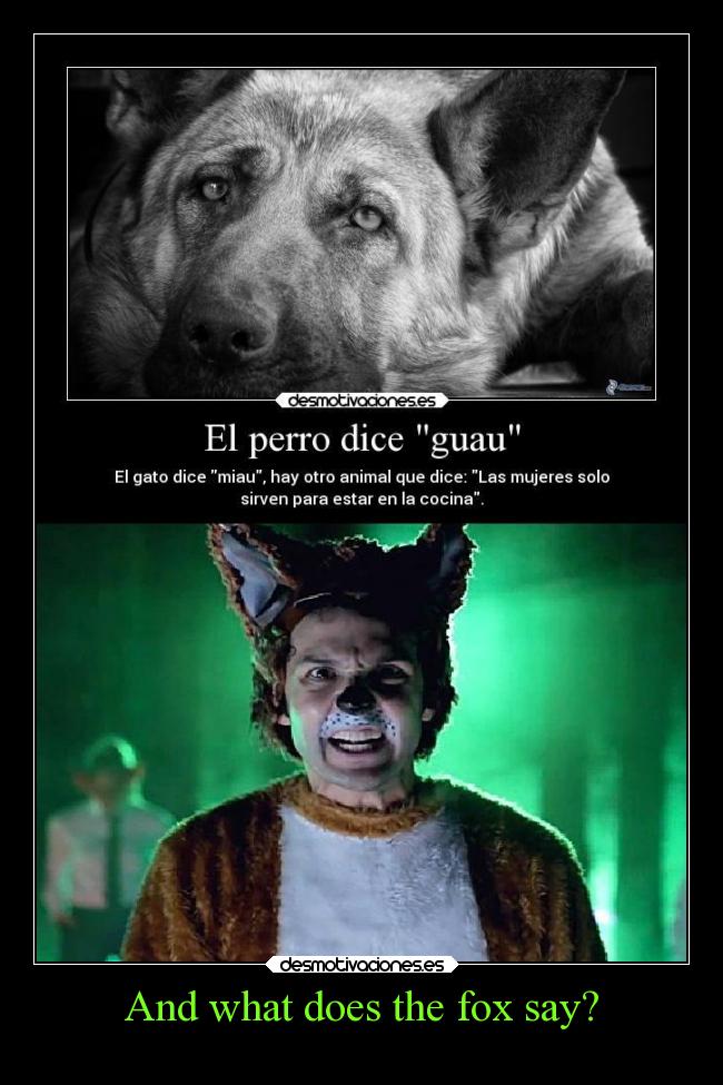And what does the fox say? - 