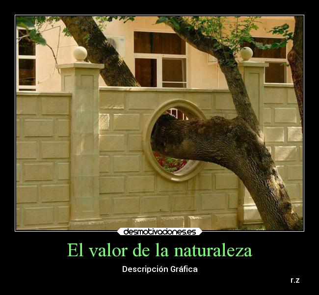 El valor de la naturaleza - 