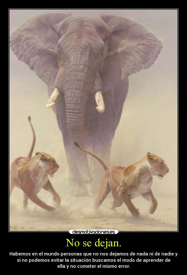 No se dejan. - Habemos en el mundo personas que no nos dejamos de nada ni de nadie y
si no podemos evitar la situación buscamos el modo de aprender de
ella y no cometer el mismo error.