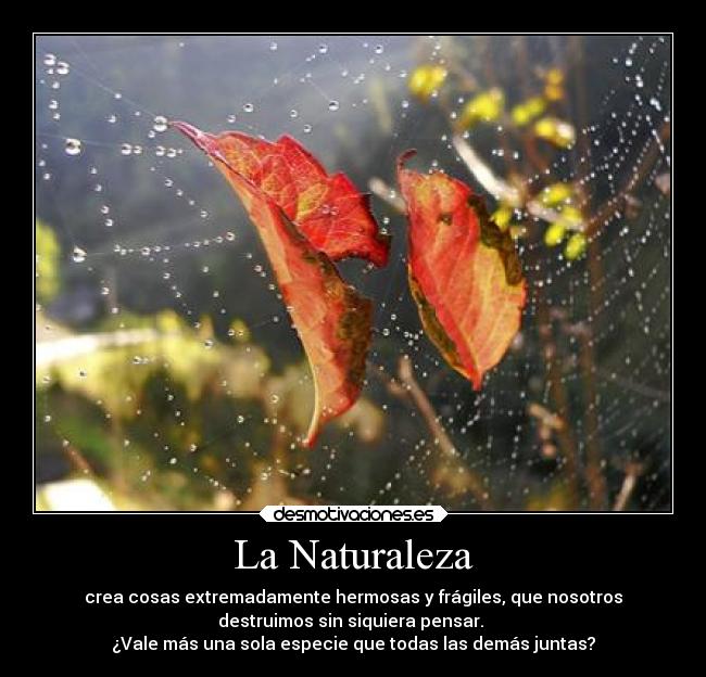 La Naturaleza - crea cosas extremadamente hermosas y frágiles, que nosotros
destruimos sin siquiera pensar.
¿Vale más una sola especie que todas las demás juntas?