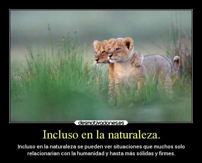 Incluso en la naturaleza. - 