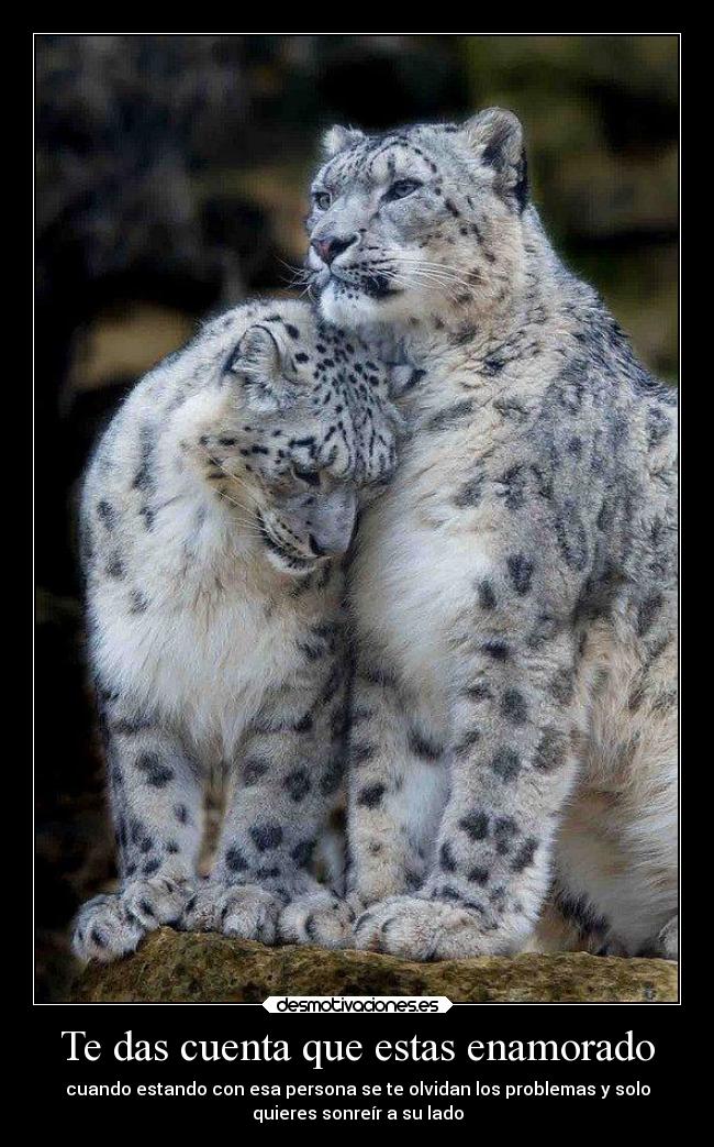 Te das cuenta que estas enamorado - cuando estando con esa persona se te olvidan los problemas y solo
quieres sonreír a su lado