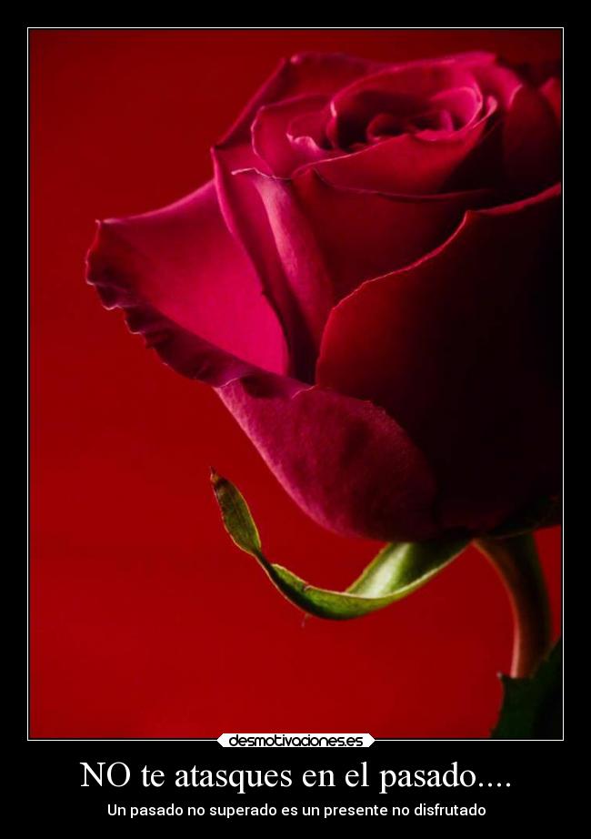 carteles pasado corazon desmotivaciones