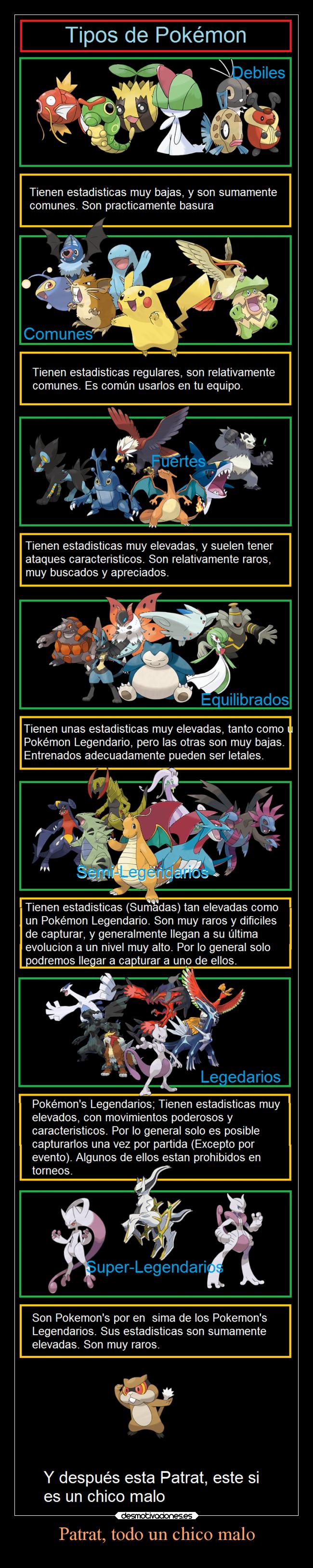 Patrat, todo un chico malo - 