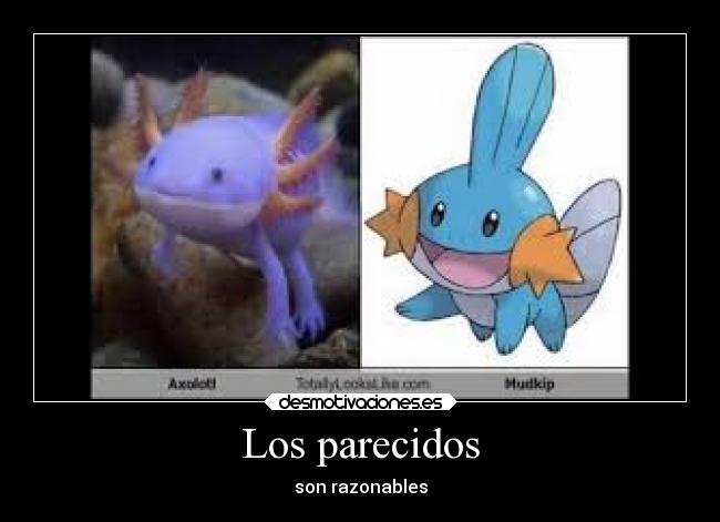 Los parecidos - son razonables