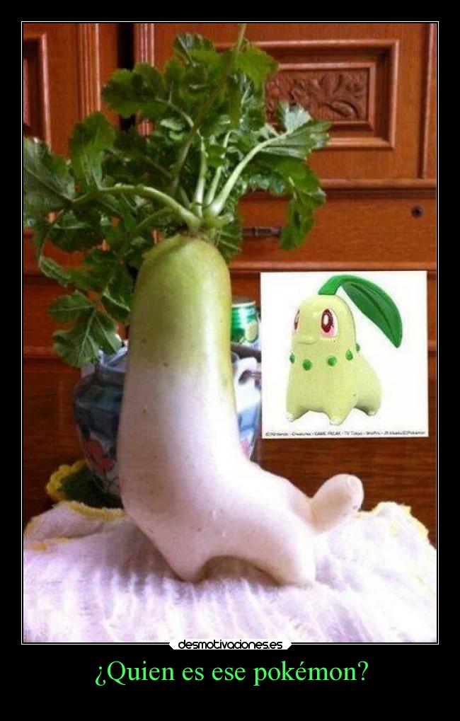 carteles pokemon pokemon desmotivaciones