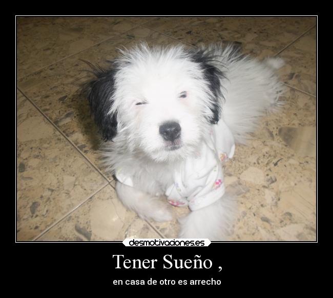 Tener Sueño , -