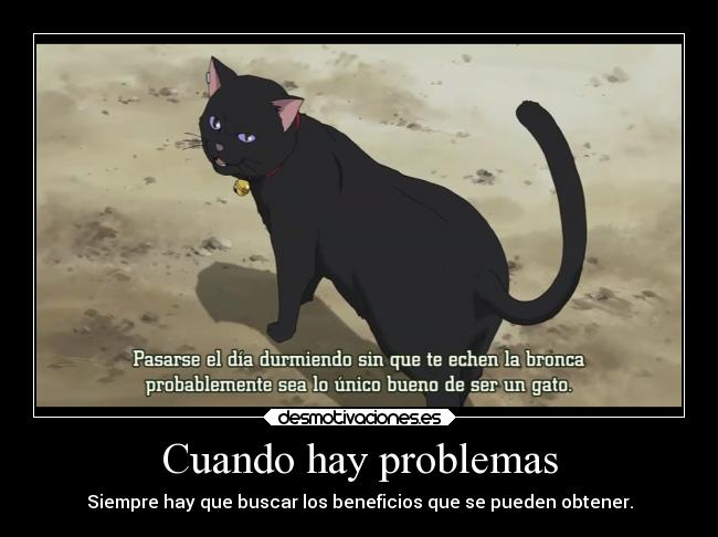 carteles problemas problemas gatos anime mao darker than black desmotivaciones