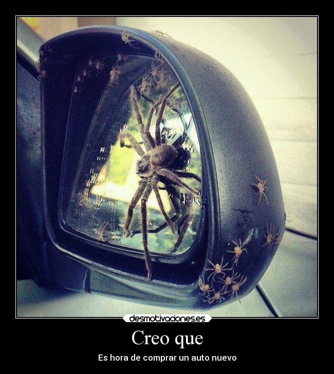 Creo que -