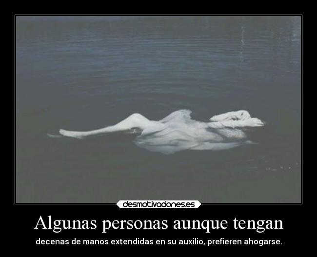 carteles problemas vida whiteangel white angel eresmimejoramiga intentareayudarteunayotravez desmotivaciones