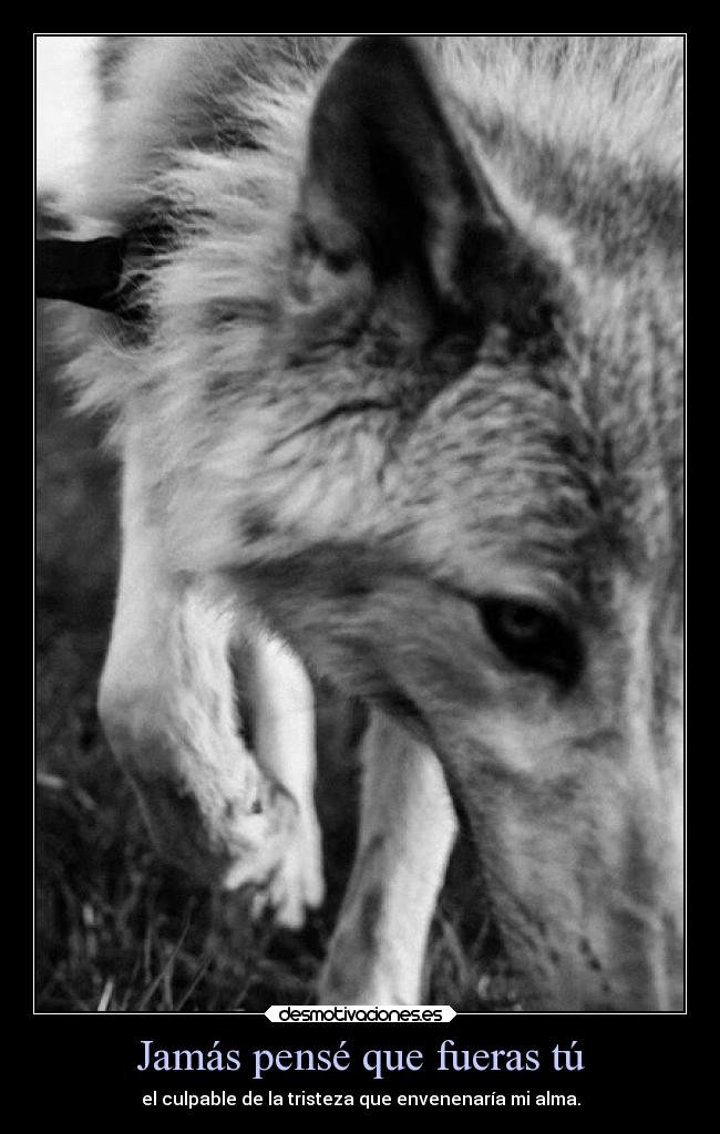 Jamás pensé que fueras tú -