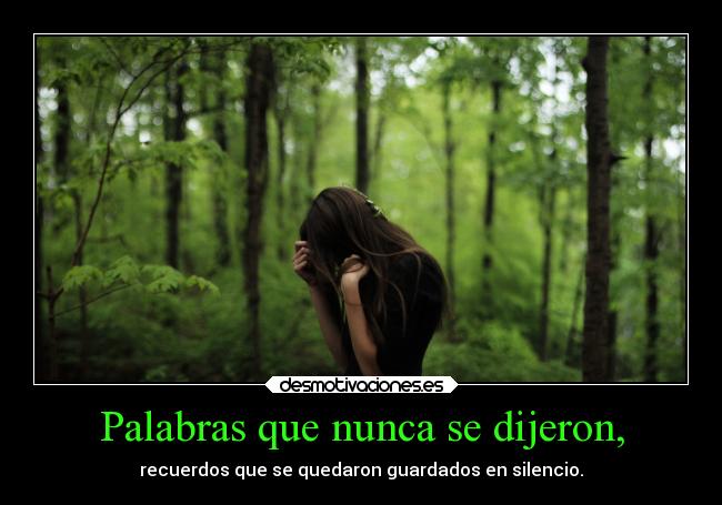 Palabras que nunca se dijeron, -