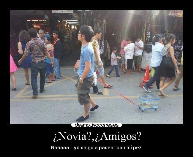 ¿Novia?,¿Amigos? - Naaaaa... yo salgo a pasear con mi pez.