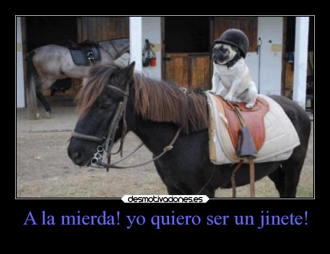 carteles risa desmotivaciones