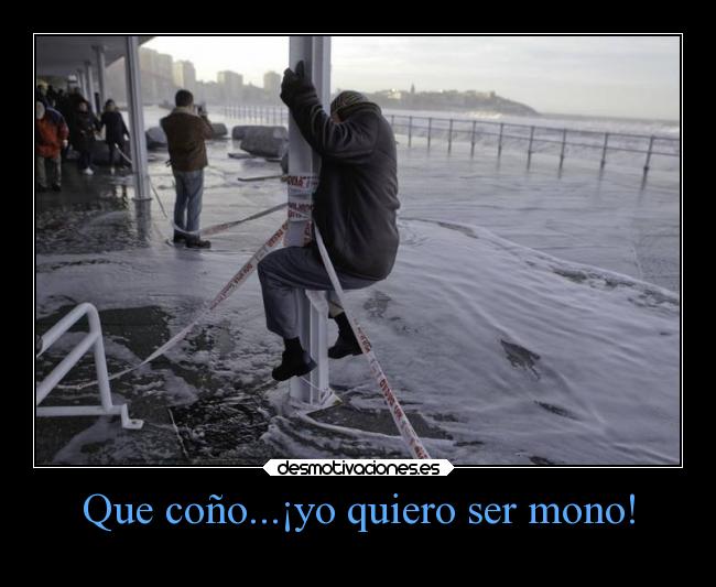 Que coño...¡yo quiero ser mono! - 
