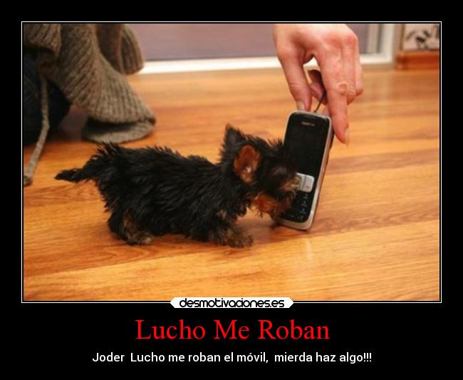 carteles risa los perros luchodesmotivado desmotivaciones