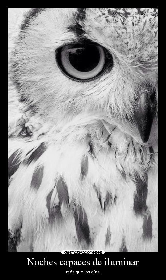 Noches capaces de iluminar -