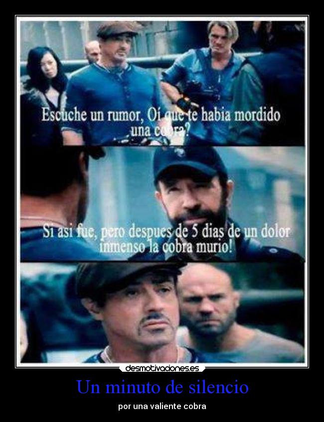 Un minuto de silencio - por una valiente cobra