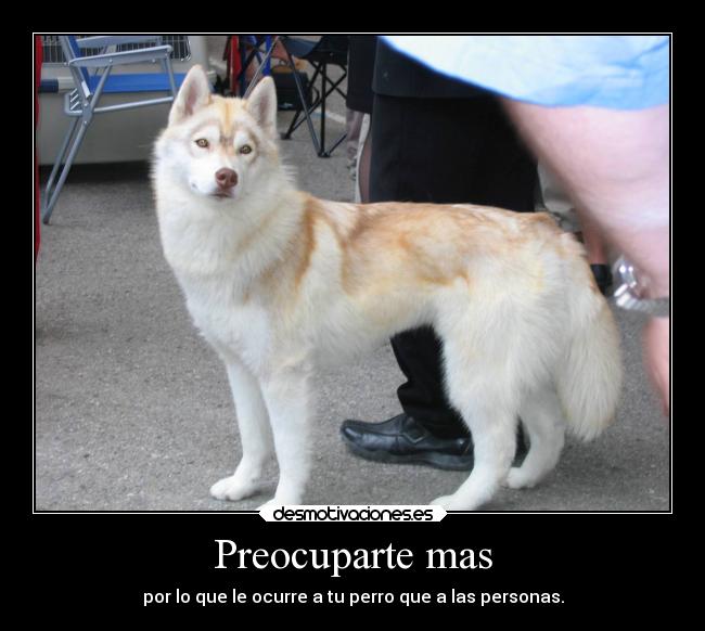 Preocuparte mas -