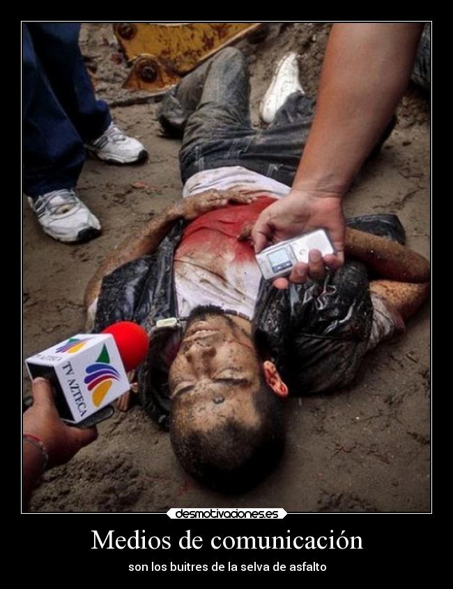 Medios de comunicación - son los buitres de la selva de asfalto