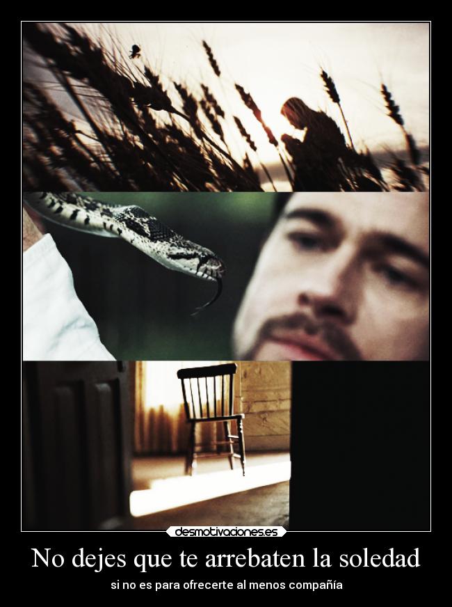 No dejes que te arrebaten la soledad - si no es para ofrecerte al menos compañía