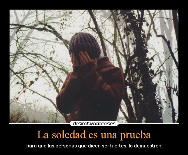 carteles soledad soledad desmotivaciones