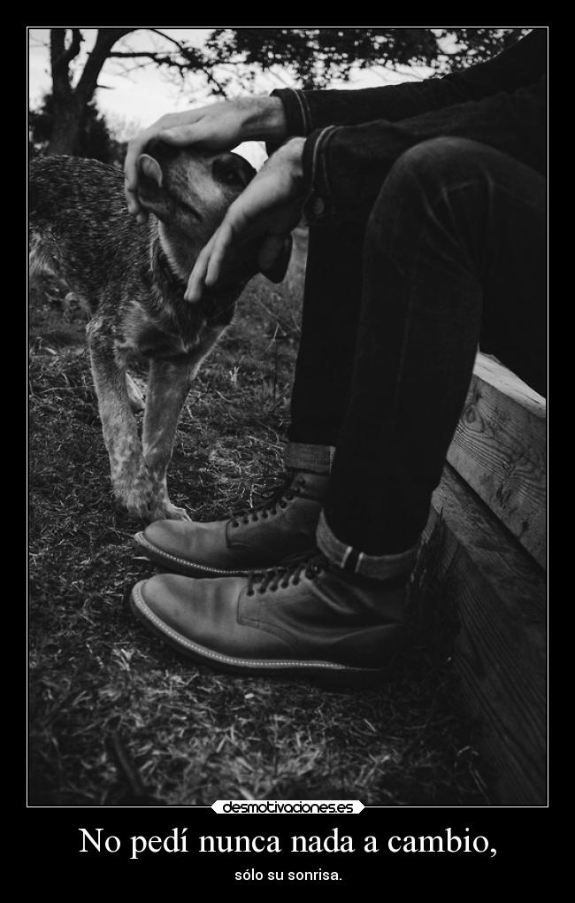 No pedí nunca nada a cambio, -