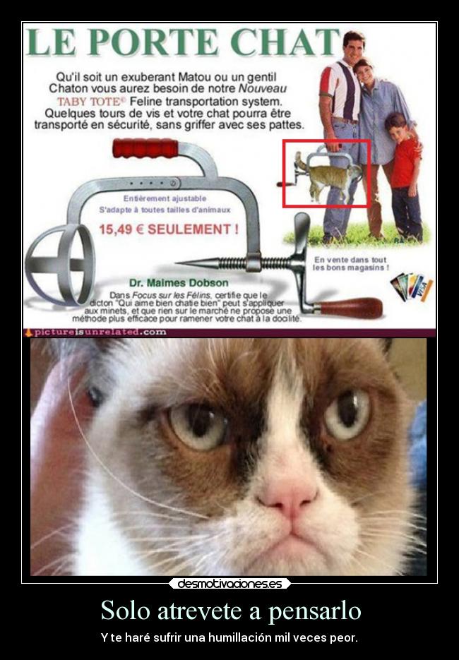 Solo atrevete a pensarlo - Y te haré sufrir una humillación mil veces peor.