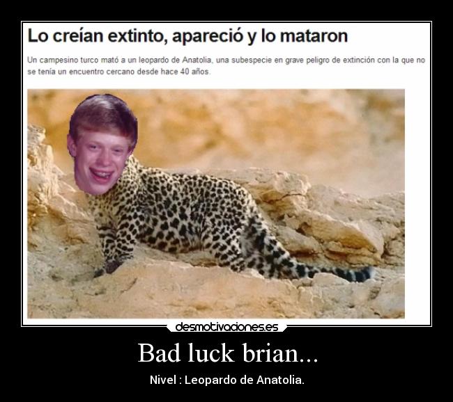 Bad luck brian... - 