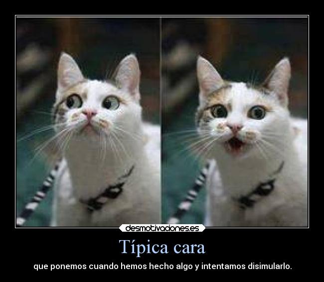 Típica cara -