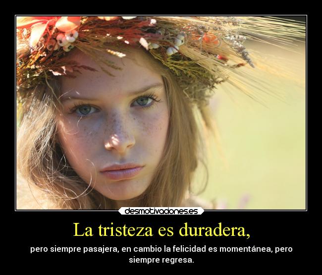 carteles tristeza alma telyg ejercitodemar randallfoster uso foto desmotivaciones