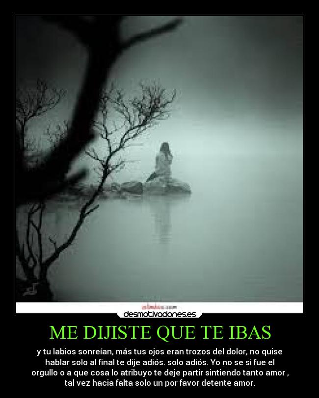 ME DIJISTE QUE TE IBAS - y tu labios sonreían, más tus ojos eran trozos del dolor, no quise
hablar solo al final te dije adiós. solo adiós. Yo no se si fue el
orgullo o a que cosa lo atribuyo te deje partir sintiendo tanto amor ,
tal vez hacia falta solo un por favor detente amor.