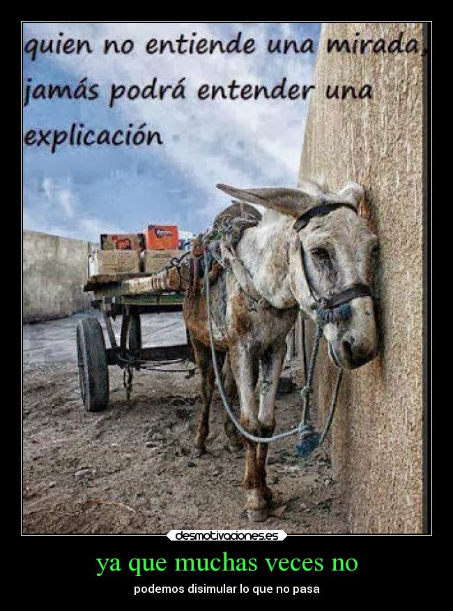 ya que muchas veces no -