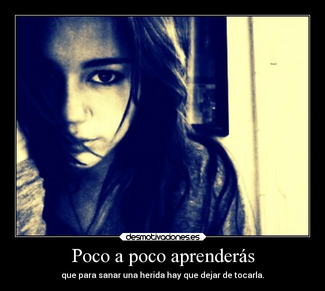 Poco a poco aprenderás -