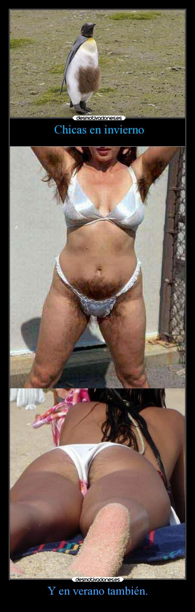 carteles verano humor pelos depilaroscono desmotivaciones