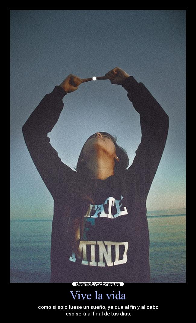 carteles vida alegria vive sonrie isiya10 desmotivaciones