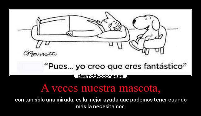 carteles vida amigos gatos animales ayuda mascotas perros nekos etcetcetc isaajsp desmotivaciones