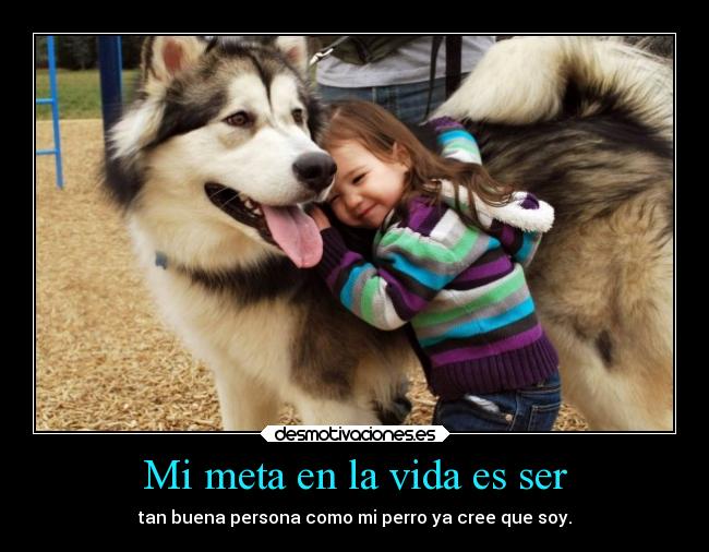 vida amistad
