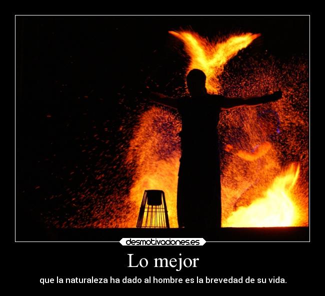 carteles vida amm plinio viejo collien desmotivaciones