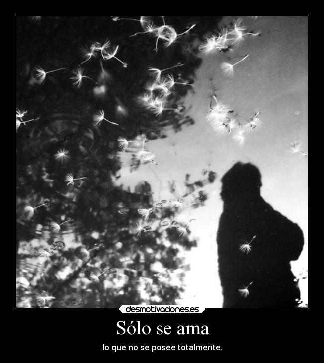 Sólo se ama - 