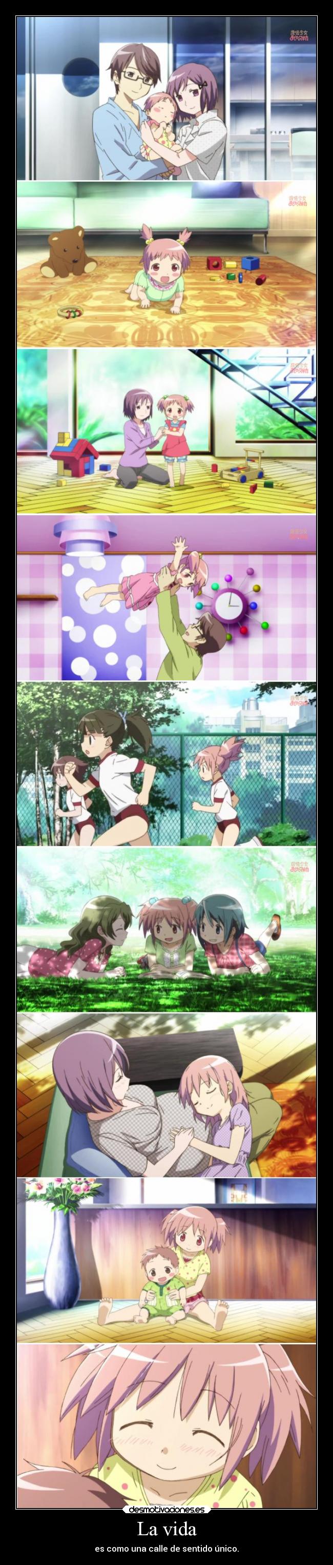 La vida - 