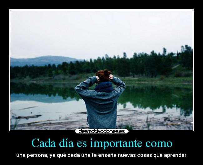 carteles vida ayuda cada dia desmotivaciones