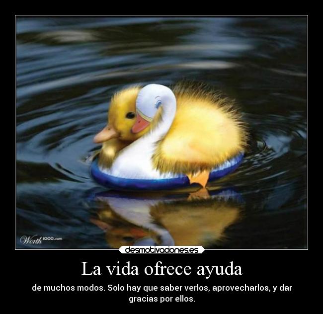La vida ofrece ayuda - de muchos modos. Solo hay que saber verlos, aprovecharlos, y dar
gracias por ellos.