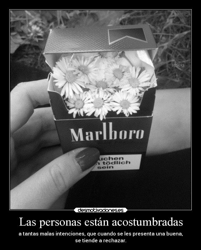 Las personas están acostumbradas - a tantas malas intenciones, que cuando se les presenta una buena,
se tiende a rechazar.