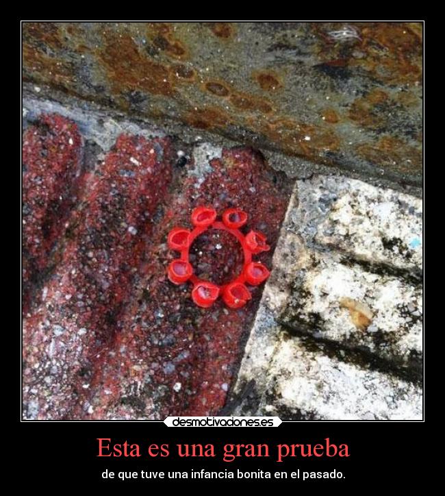 carteles vida bizcobizcobizcobizcobizcobizcobizcobizcobizcobizcobizcobizcobizcobizcobizcocho ejercitodemar desmotivaciones