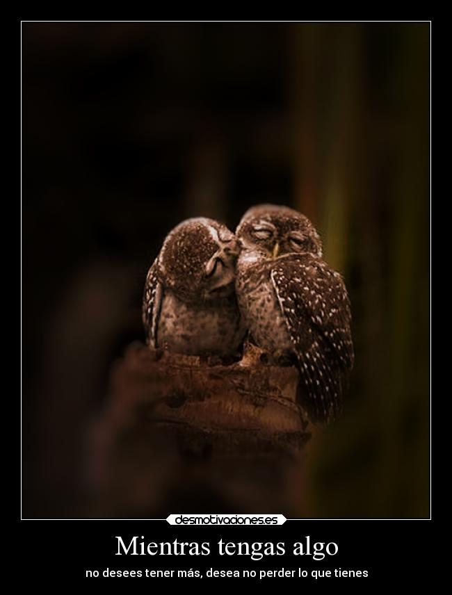 carteles vida buho buhos amar tener mantener desear bmthbvb desmotivaciones