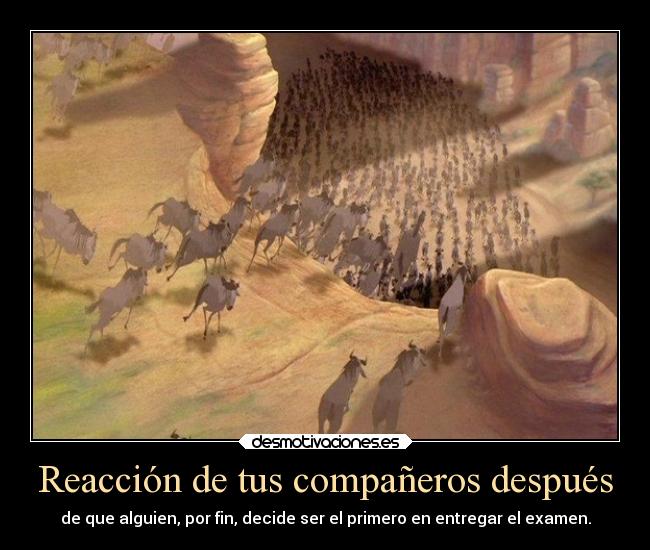 Reacción de tus compañeros después - 